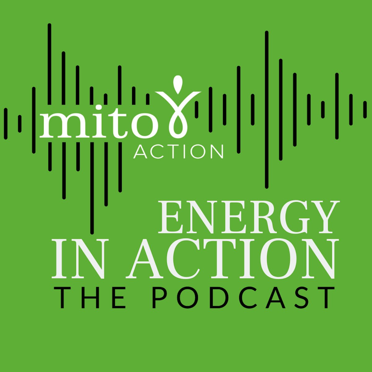 Click here to listen to the Energy in Action podcast.